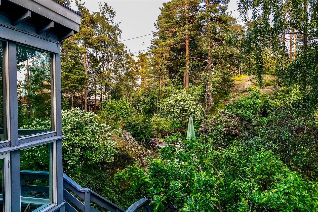 Sommerbilde hage. Galleribilde