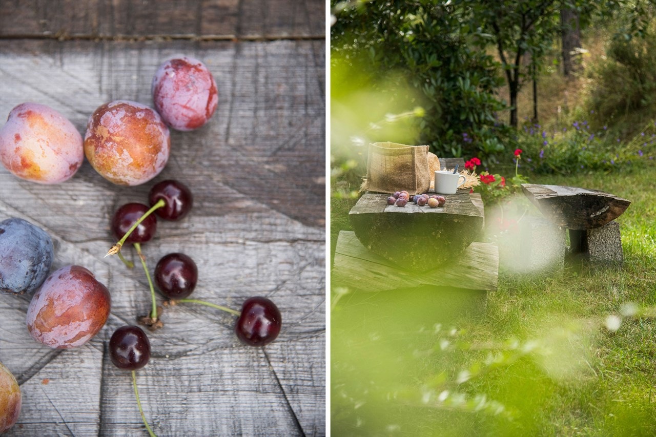Kirsebær og plommer fra hagen. Galleribilde