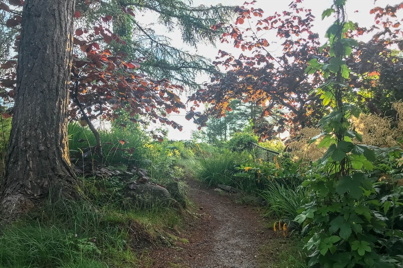 Fra stien mellom huset og garasjen. Galleribilde