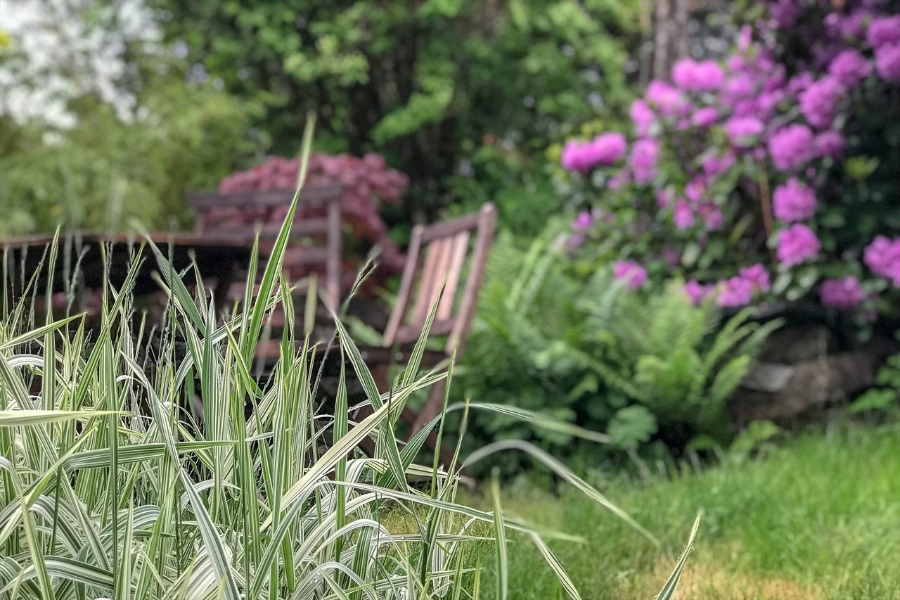 Sommerbilde hage. Galleribilde