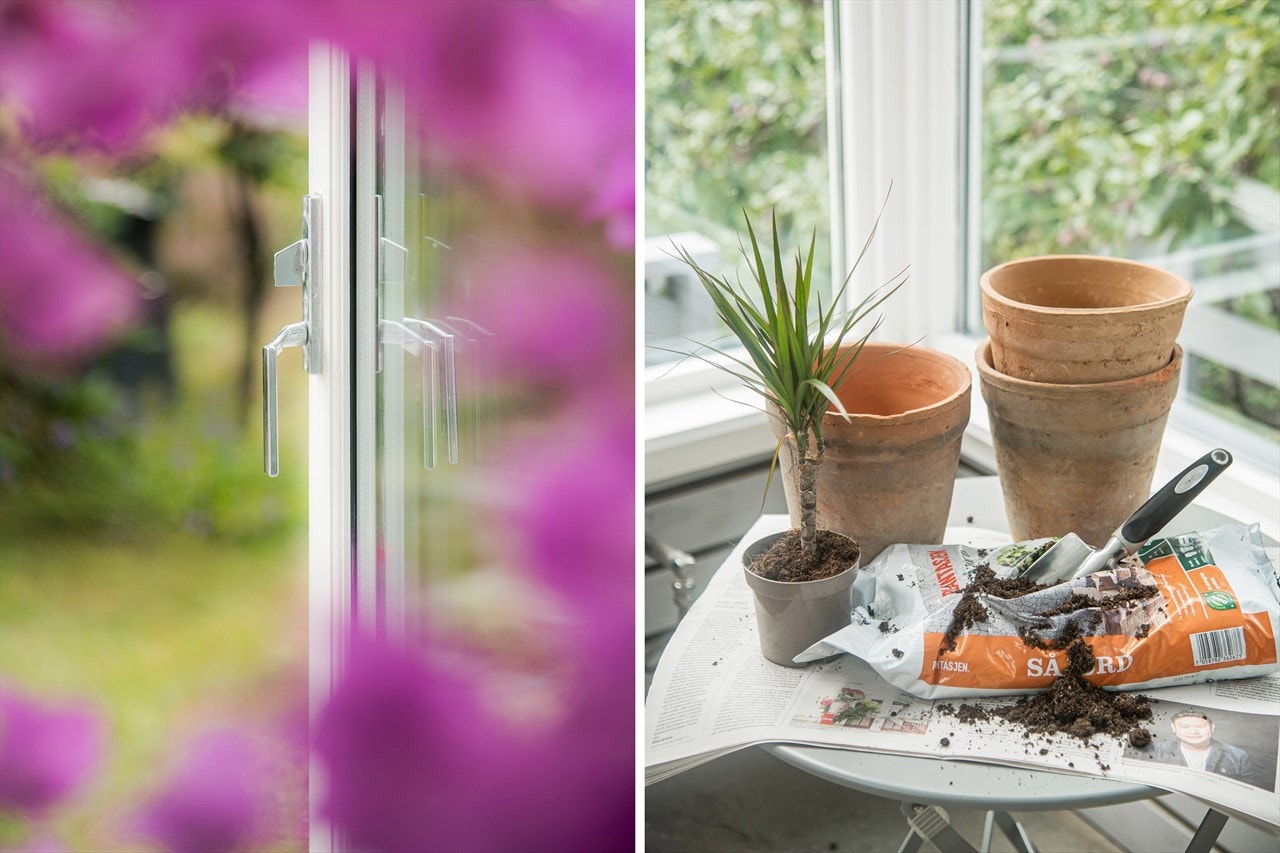 Detaljer fra vinterhagen. Galleribilde