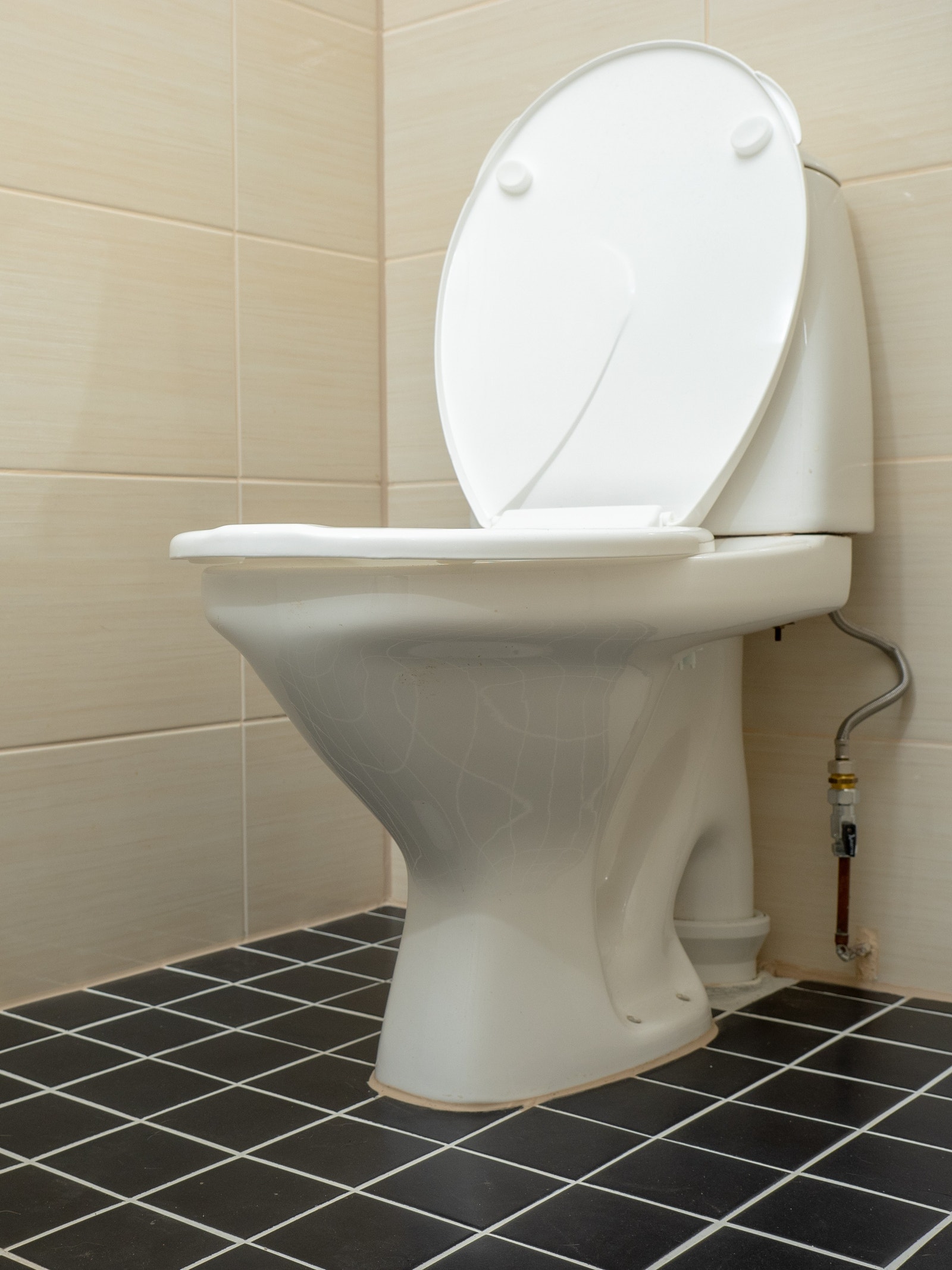 Toalett Galleribilde