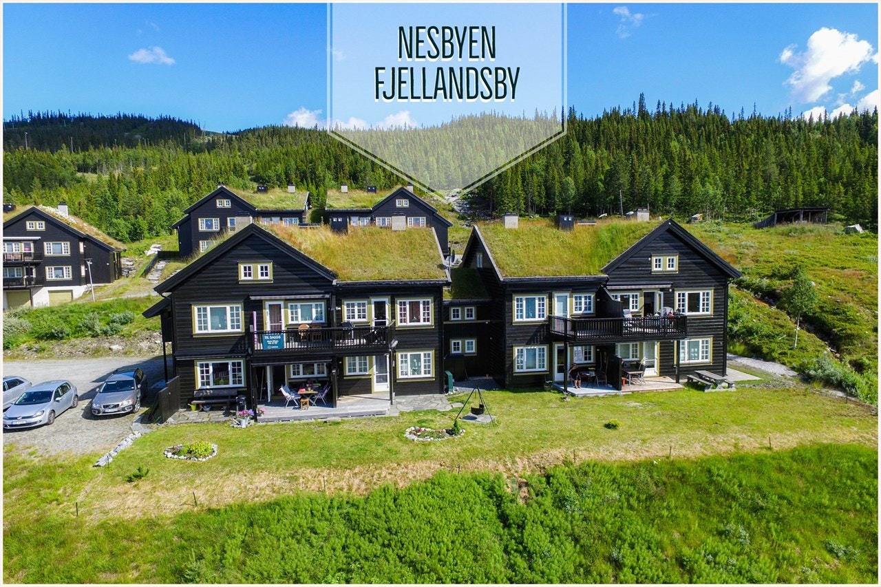 Velkommen til Nesbyen Fjellandsby - presentert av Marte Ullnæss Galleribilde