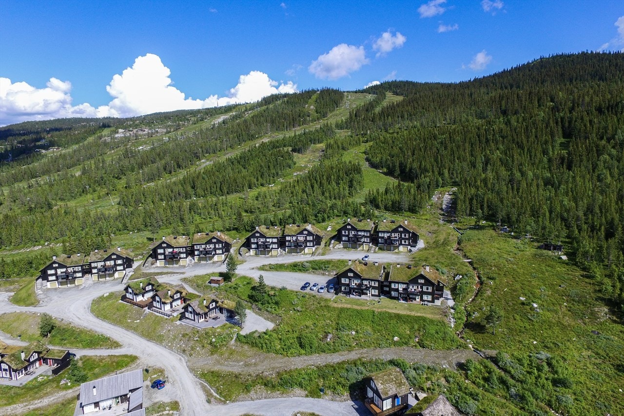 Her ligger du høyt og fritt i nest øverste rekke Galleribilde