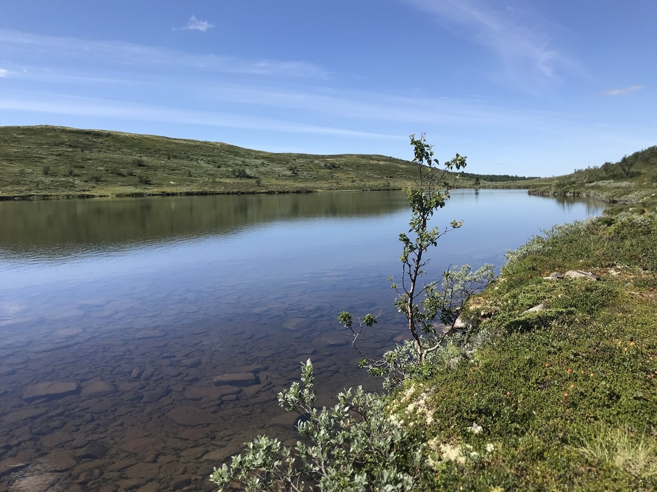 Flere fine fiske- og badevann innen turgange Galleribilde