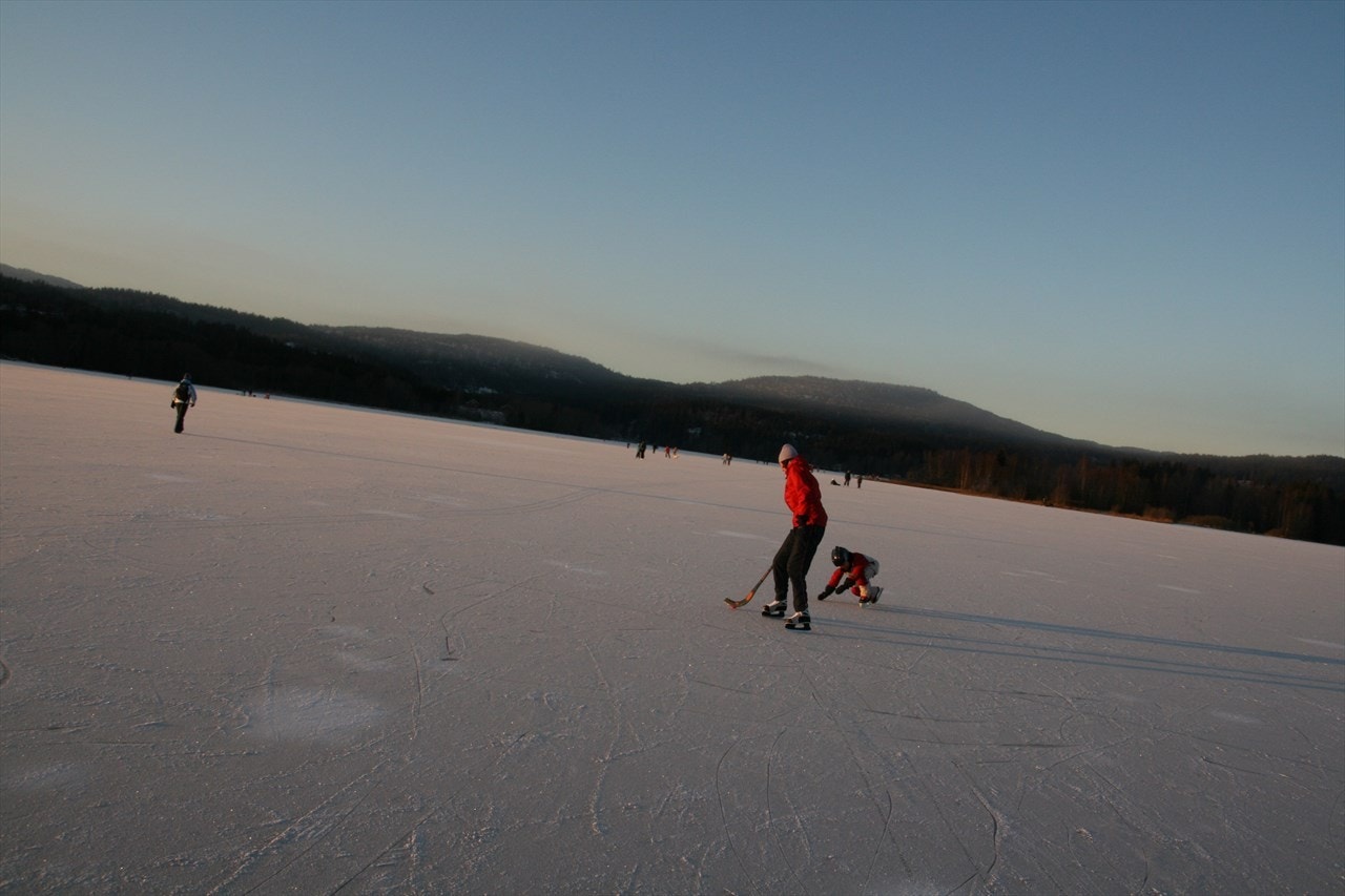 Bogstadvannet en vinterdag Galleribilde
