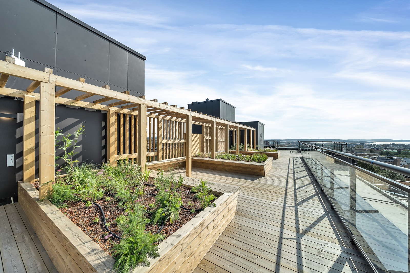 Takterrassen Galleribilde