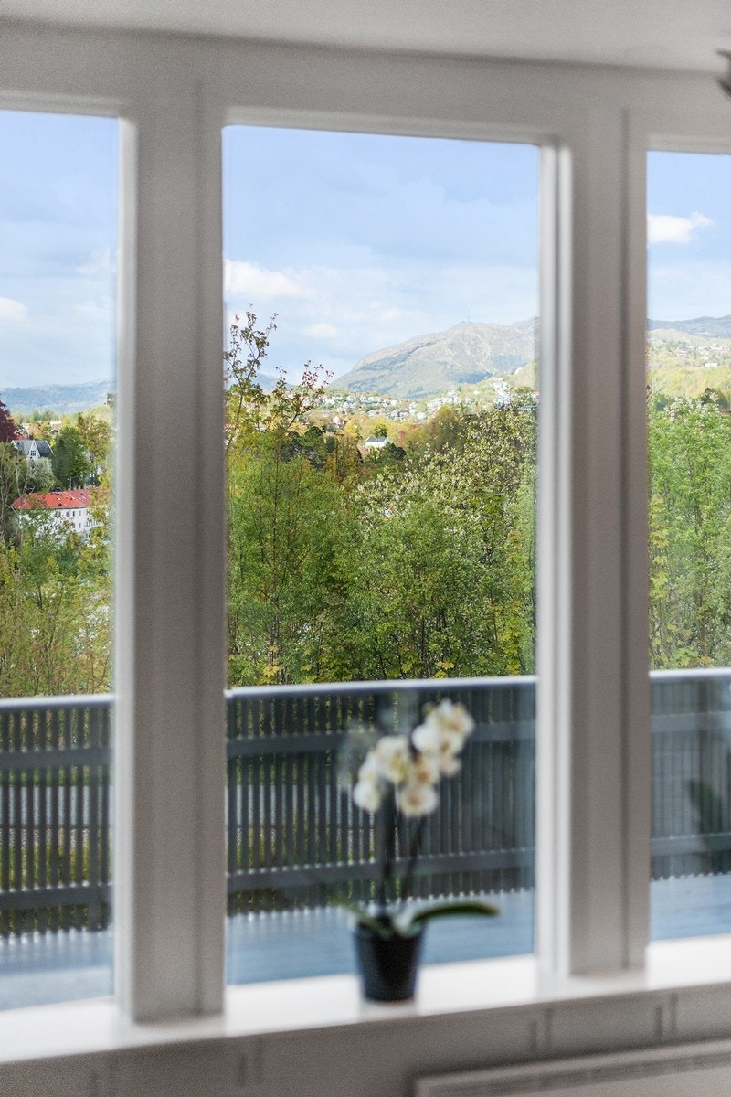 Store vinduer som bidrar til et enda mer åpent inntrykk Galleribilde