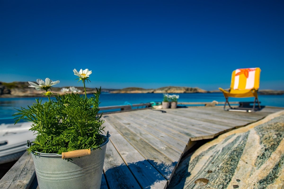 Bryggen. Galleribilde