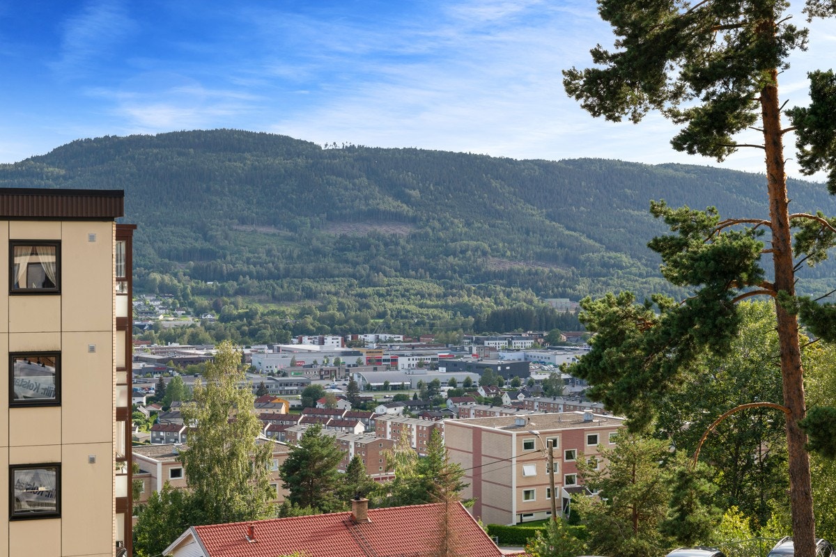 Nydelig utsikt utover Drammen. Galleribilde