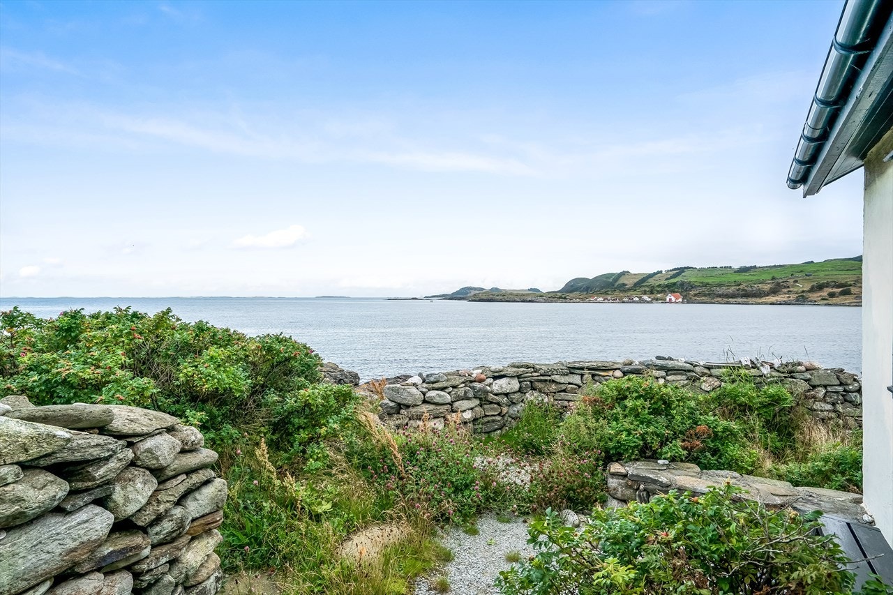 DSC02107 Galleribilde