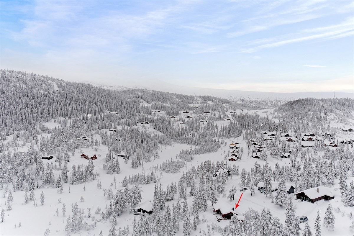 Områdebilde. Galleribilde