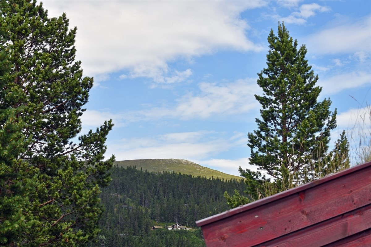 Utsikt fra terrassen. Galleribilde