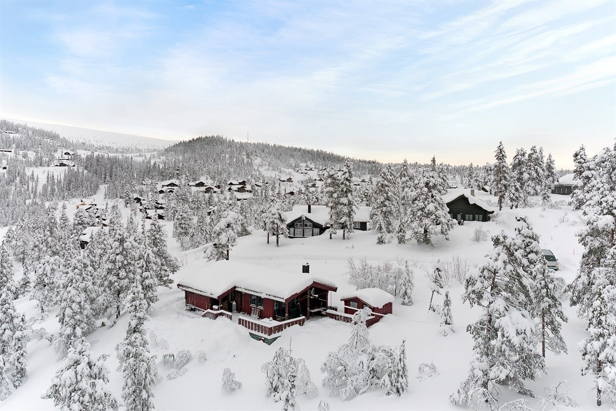 Eiendommen er på nesten ett mål, stort sett bestående av mose, lyng og fjellterreng. Galleribilde