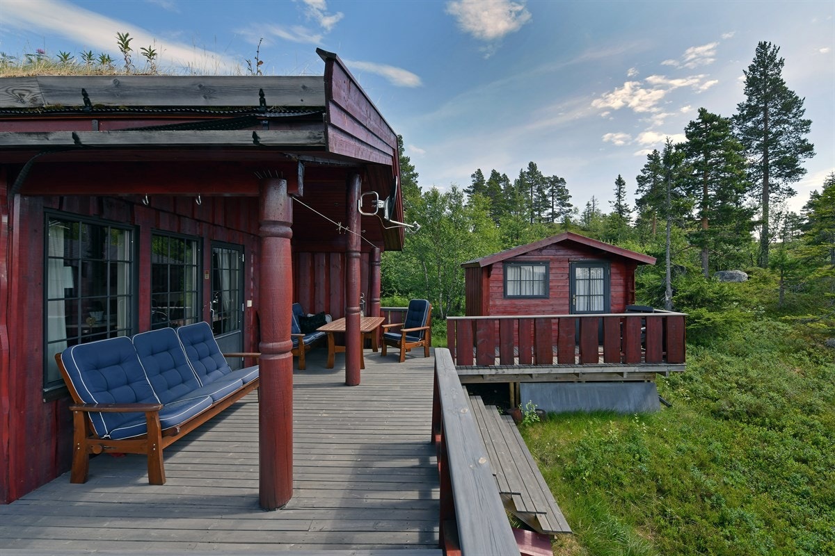 Terrasse. Galleribilde
