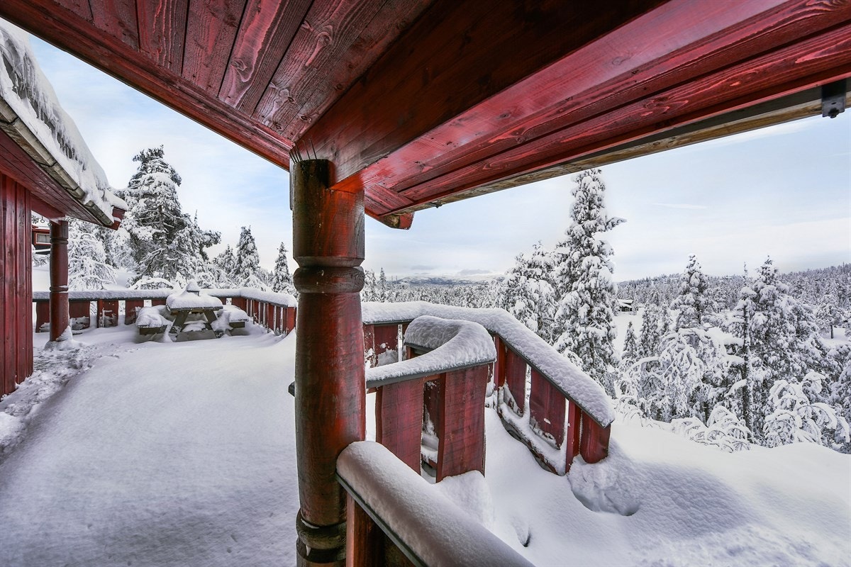 Rundt hytta er det montert en stor, delvis overbygd terrasse, med utgang fra stue og adkomst via inngangspartiet Galleribilde