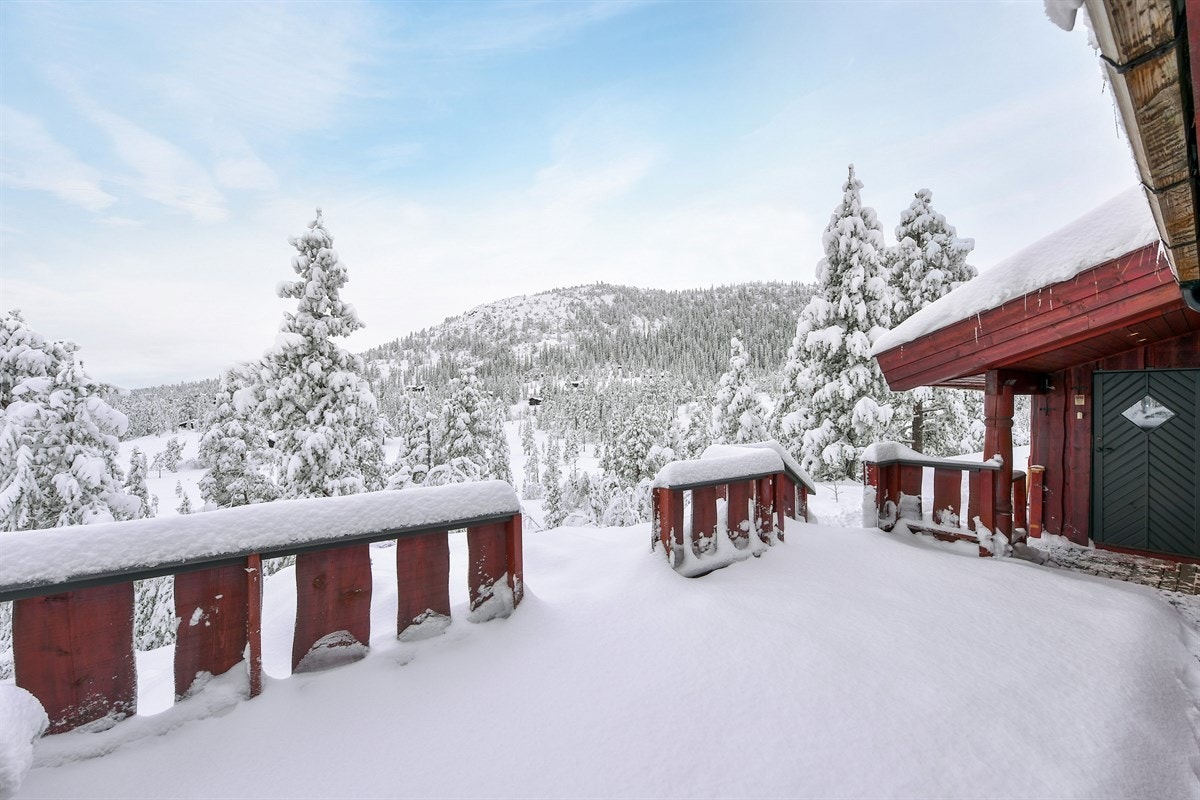 Torvtak og villmarkspanel gir hytta en sjarmerende fjellstil. Galleribilde