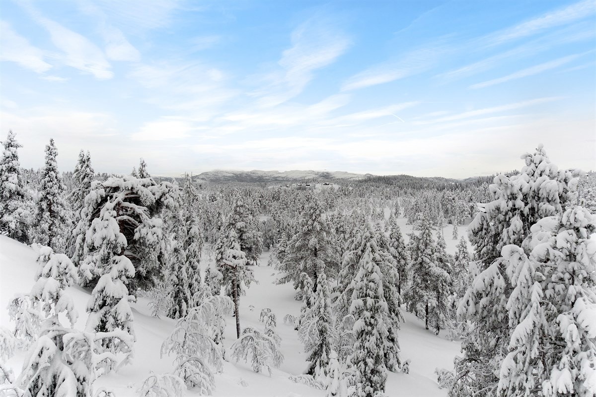 Utsikt fra terrassen. Galleribilde