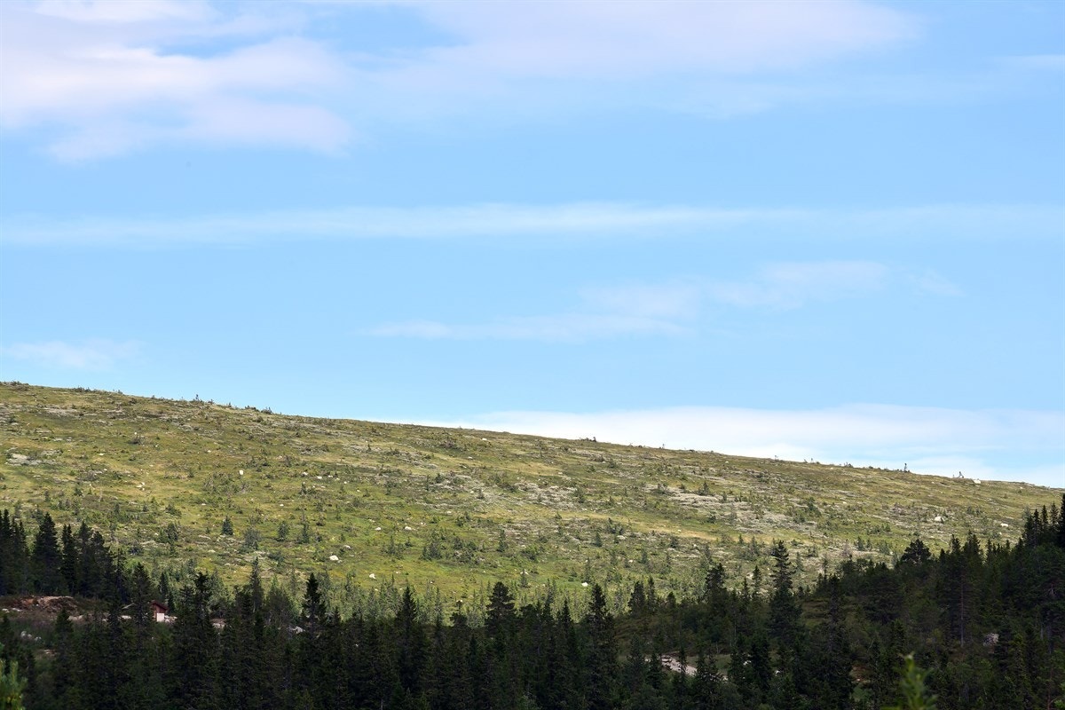 Utsikt fra terrassen. Galleribilde