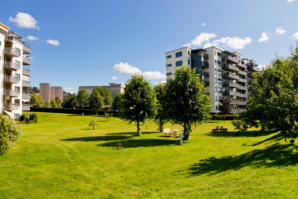 Store og fine grøntarealer like utenfor inngangsdøren. Galleribilde