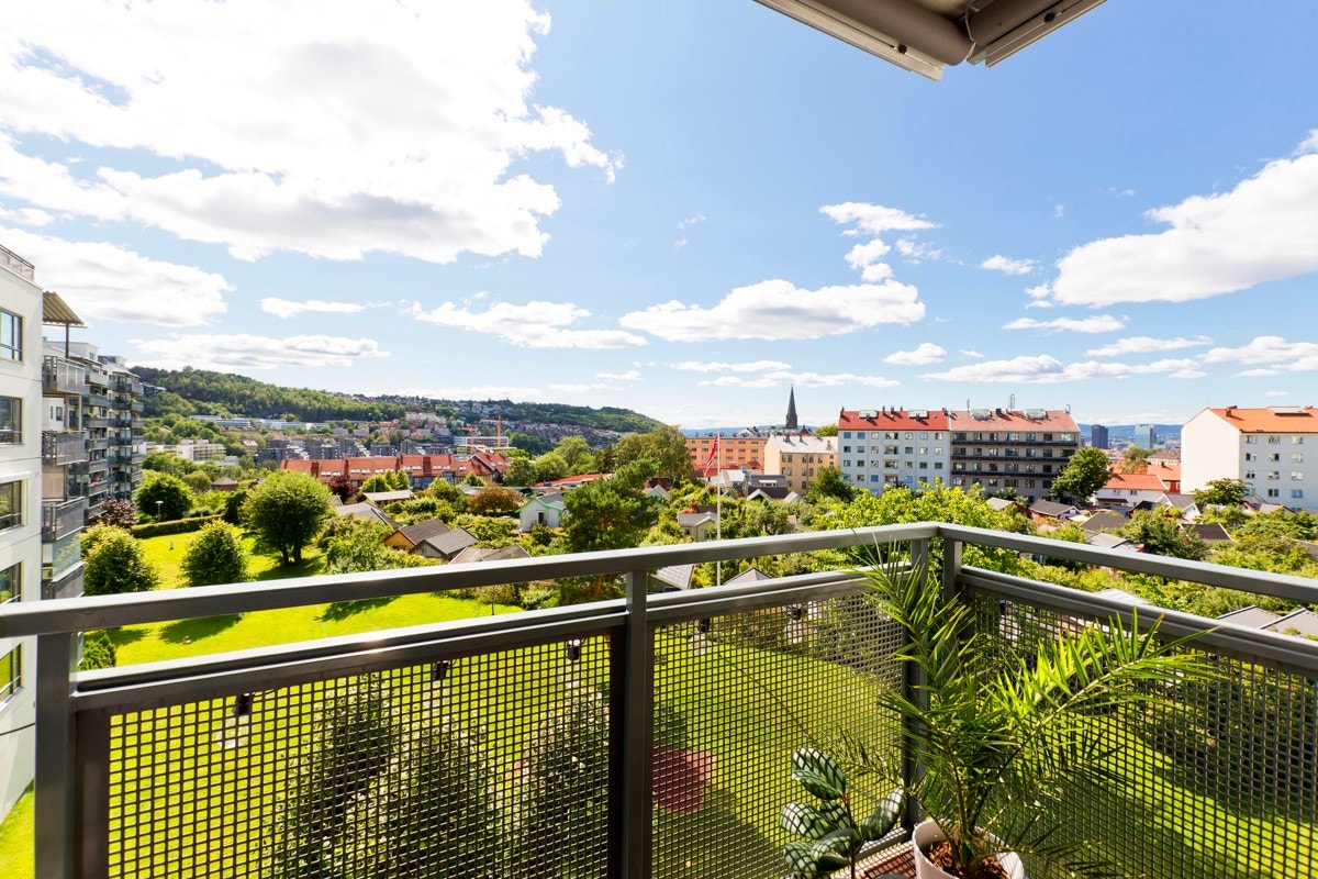 Grønt og hyggelig utsyn. Galleribilde