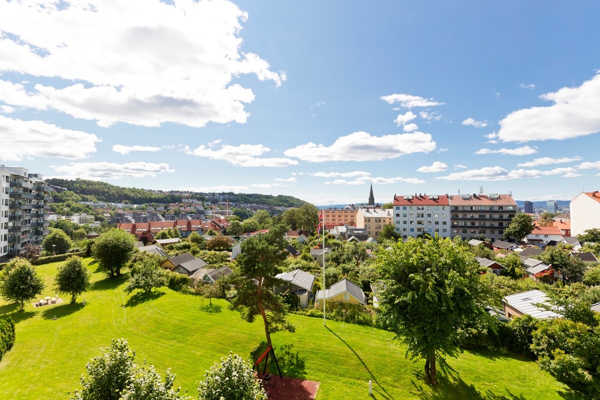 Fantastisk flott utsikt. Galleribilde