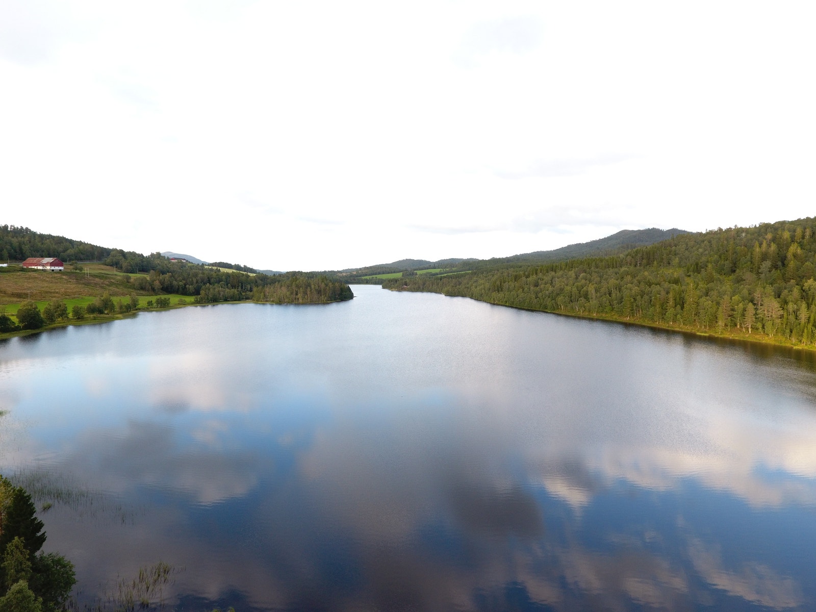 Langvatnet. Godt fiskevann Galleribilde