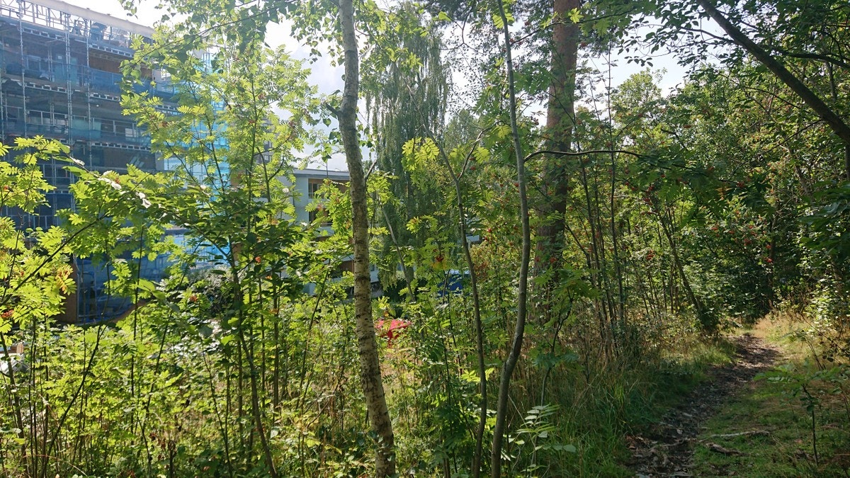 Skogen på balkongsiden gir stor grad av privatliv og ro. Galleribilde