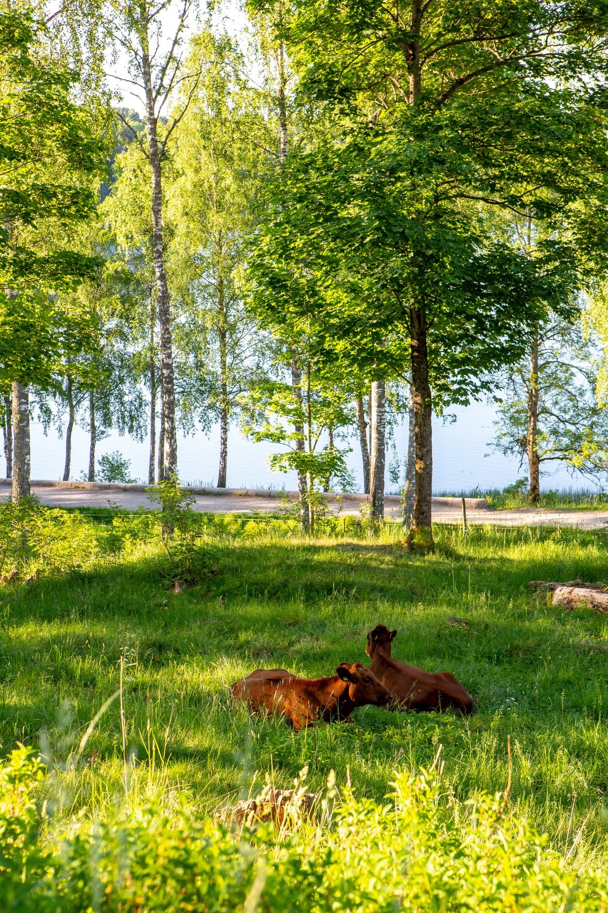 Bogstad gård. Galleribilde