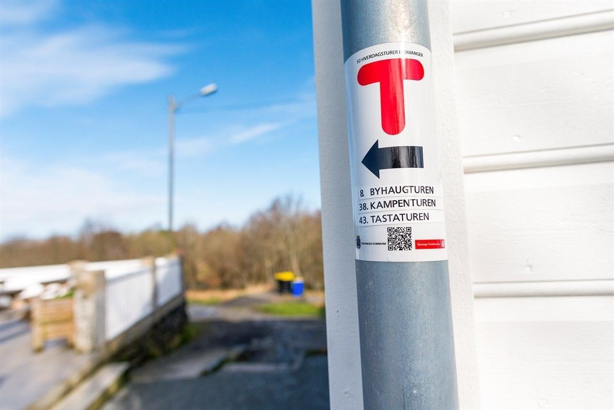 Mange tur områder Galleribilde