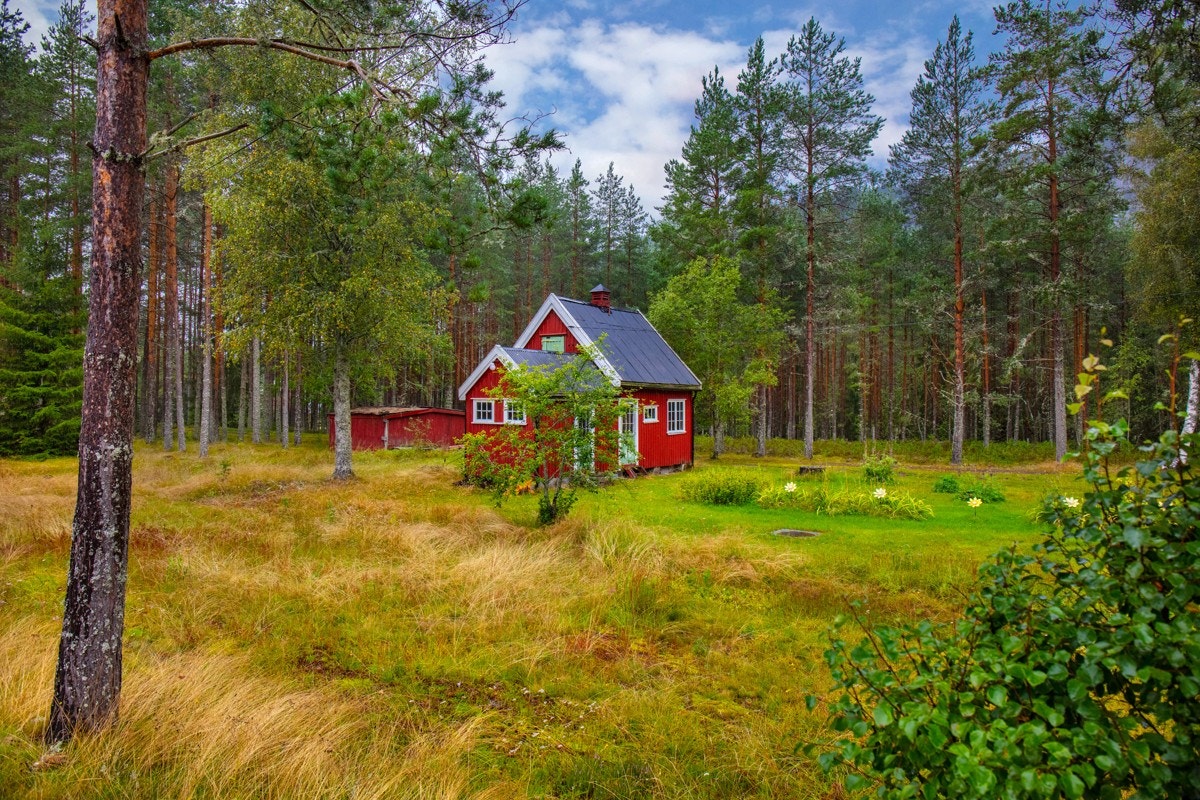 Bilde (5) M Galleribilde