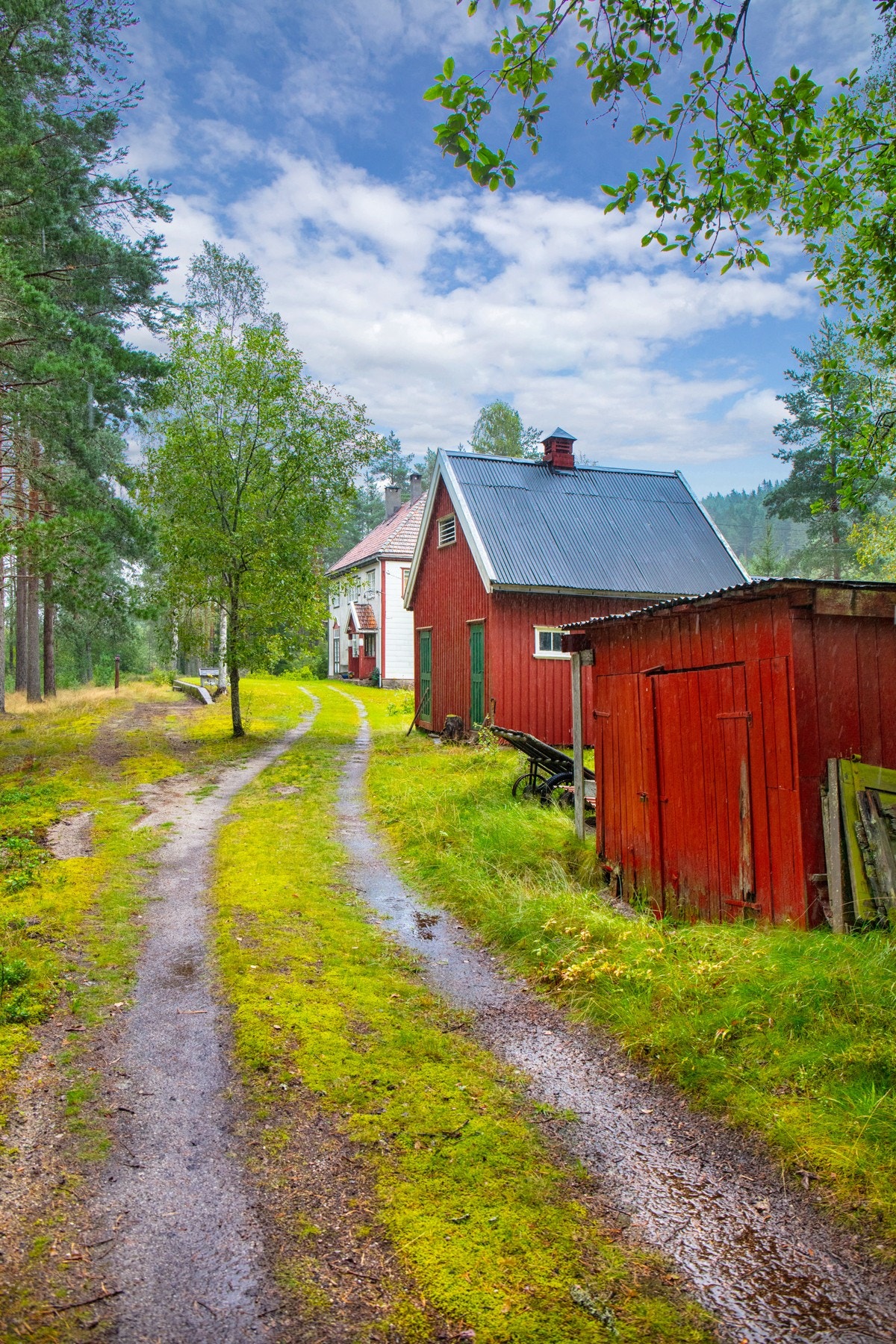 Bilde (7) M Galleribilde