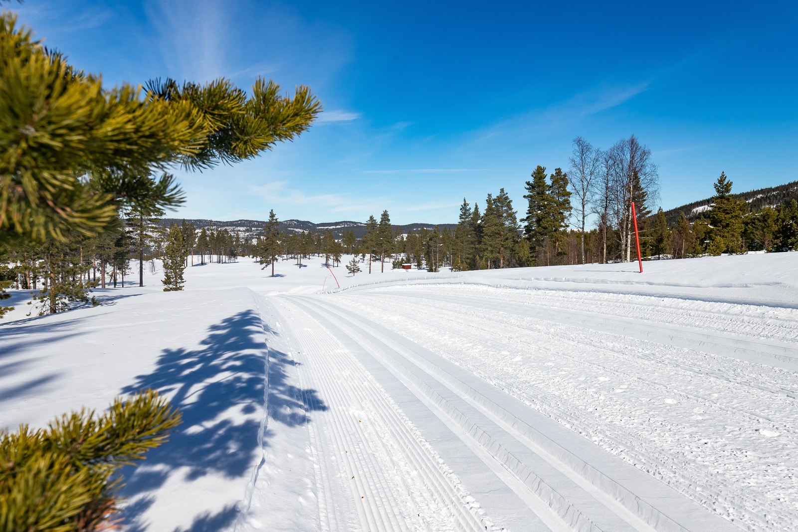 Et steinkast unna ligger Nesbyen Golfbane. Vinterstid er det her oppkjørt en 3, og 5 km. langrennsløype, med meget god standard Galleribilde