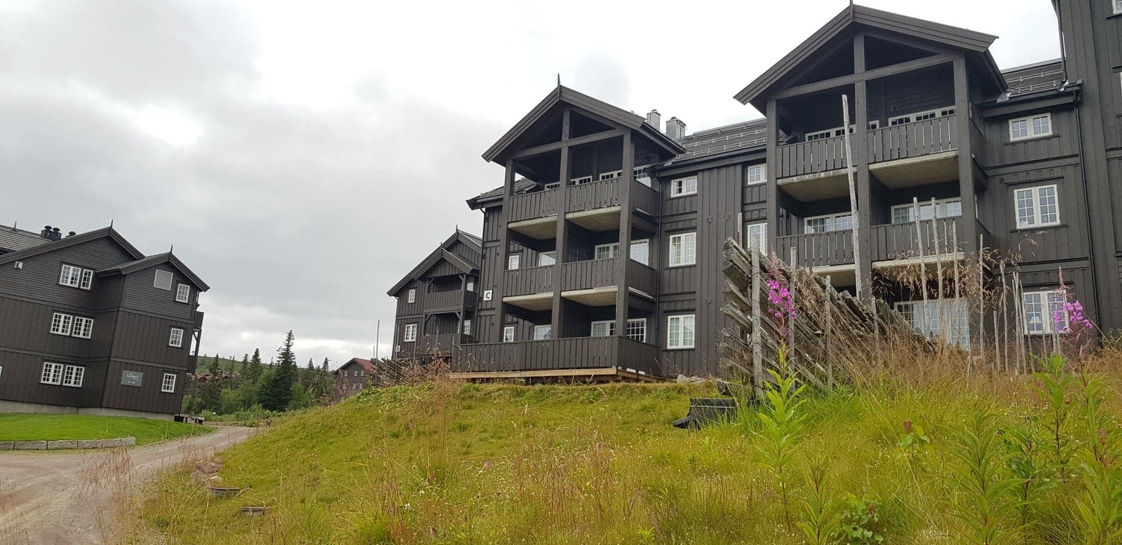 Fasade sommer Galleribilde