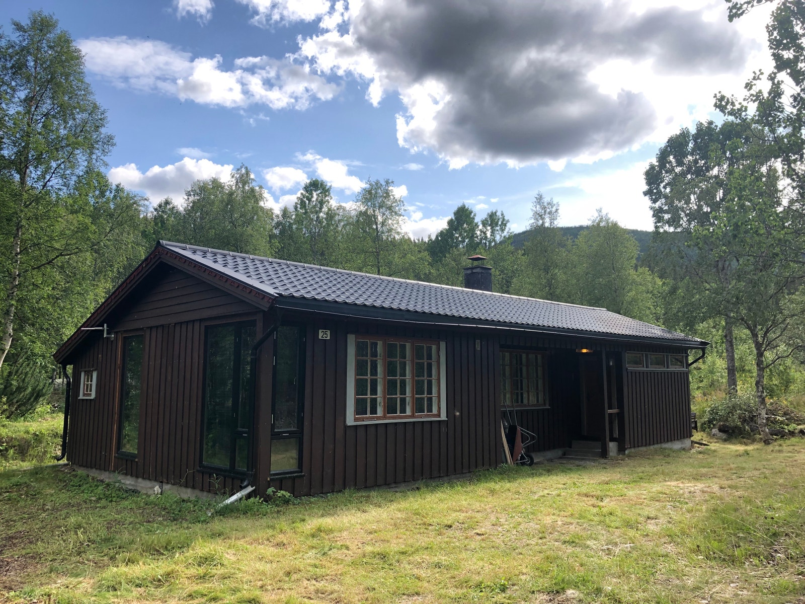 hytta sommer Galleribilde