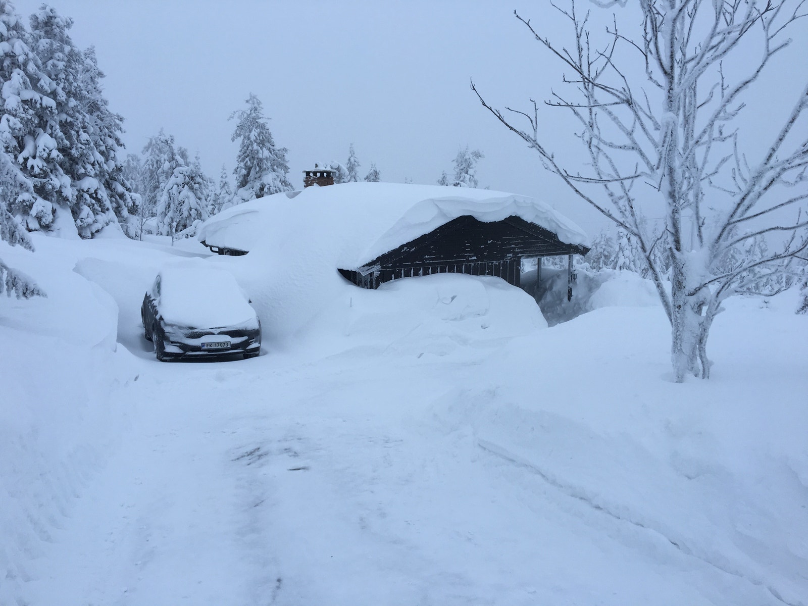 11. februar 2018. Som regel godt med snø om vinteren!... Galleribilde