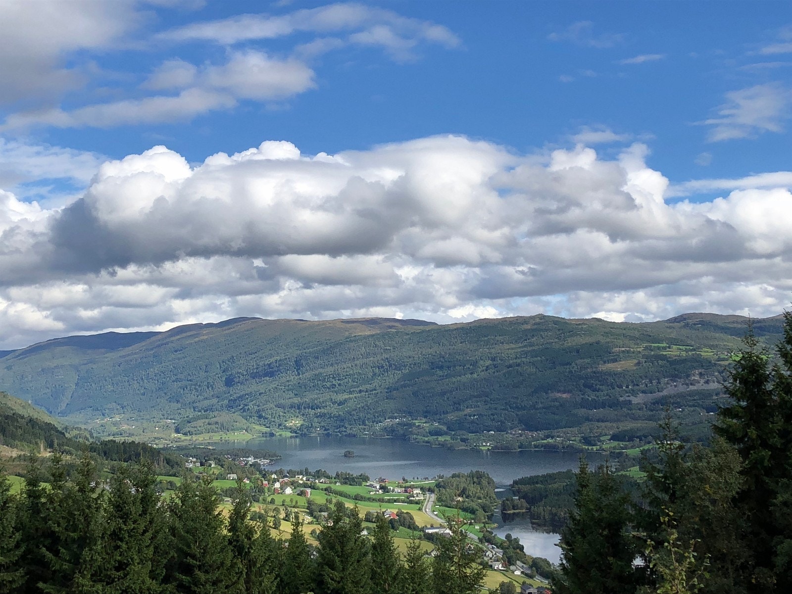 Utsikt fra stuevinduet. Galleribilde