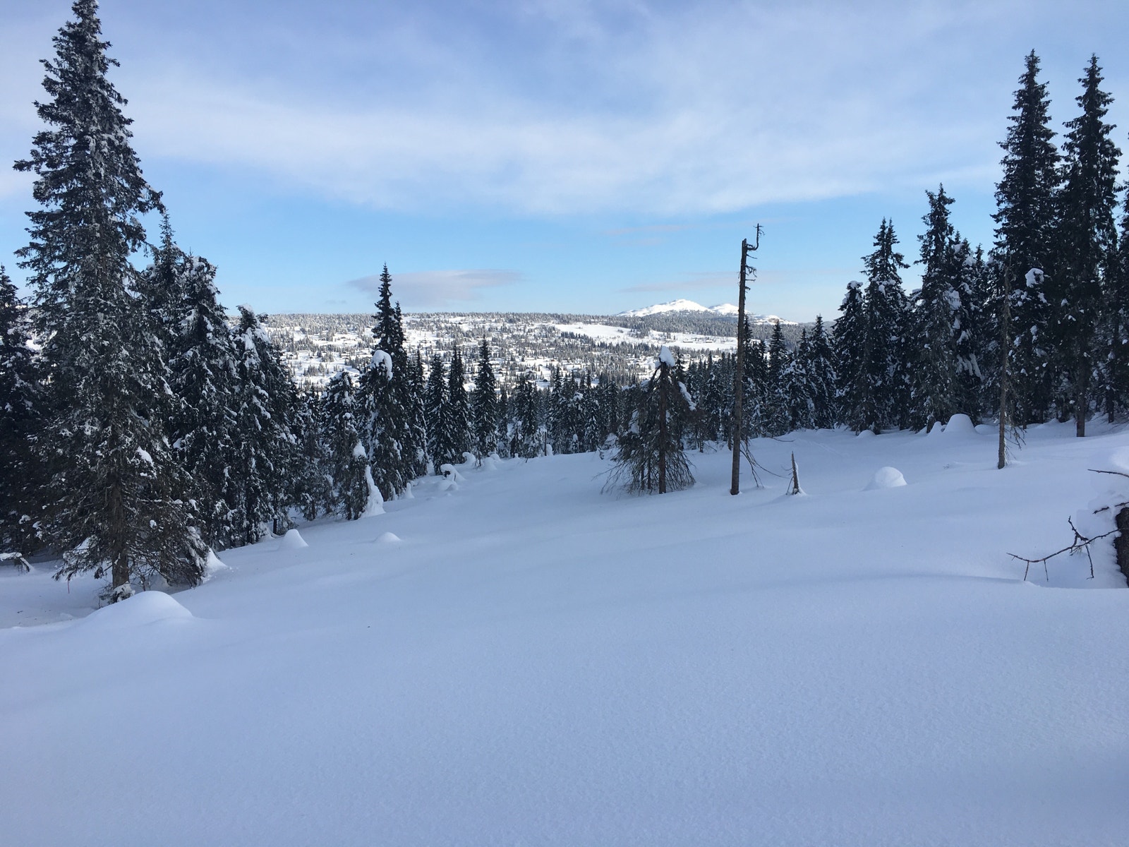 Fra tomteområdet Galleribilde