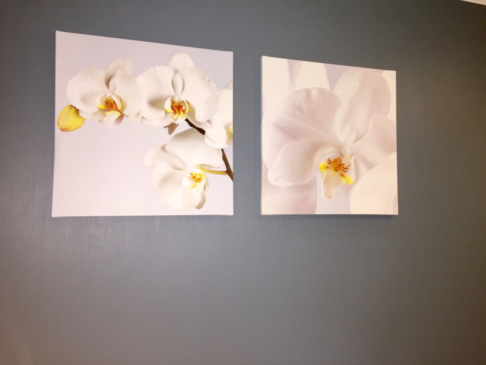 Koselige bilder på veggene Galleribilde