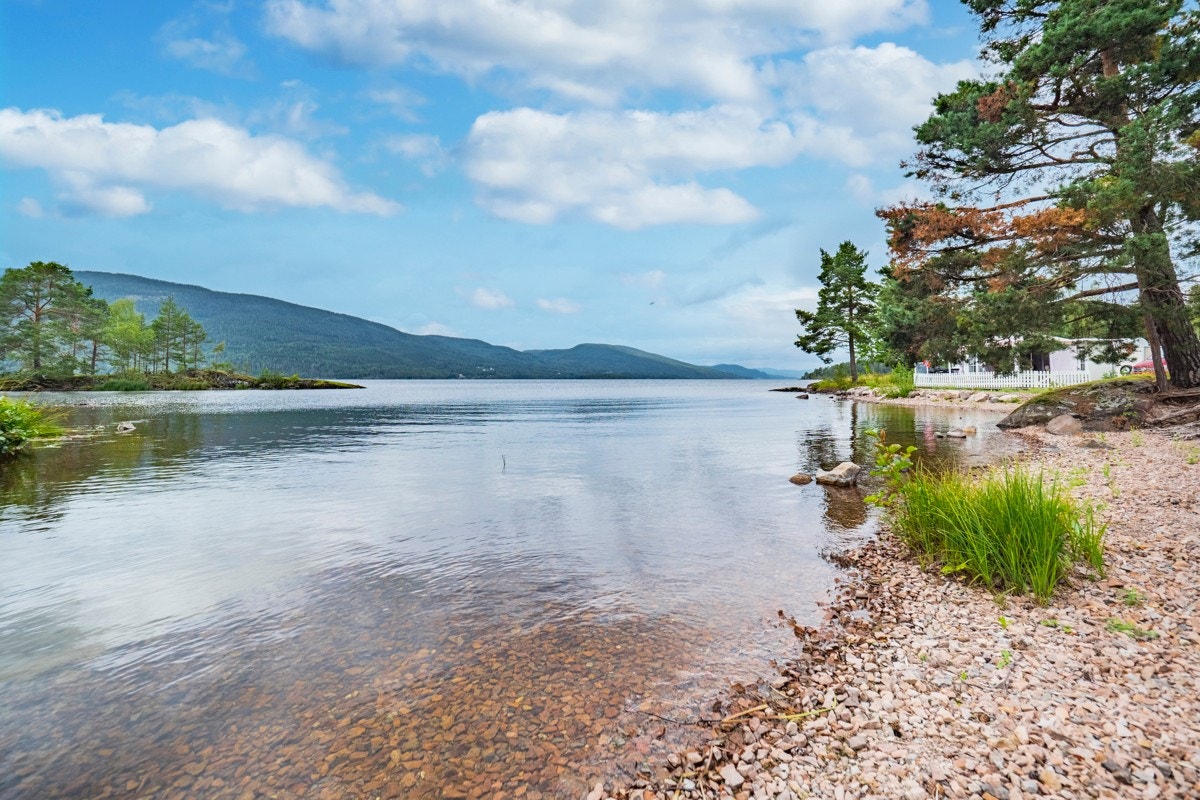 FV-studio--7%20kopia Galleribilde