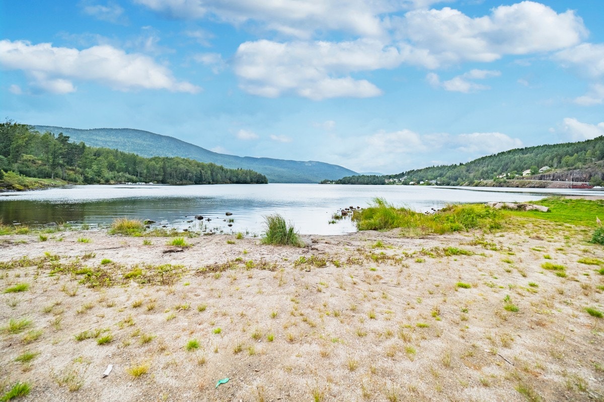 FV-studio-%20kopia Galleribilde