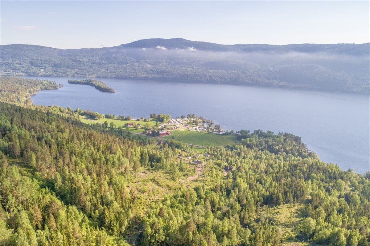 Flott utsikt fra tomtene Galleribilde