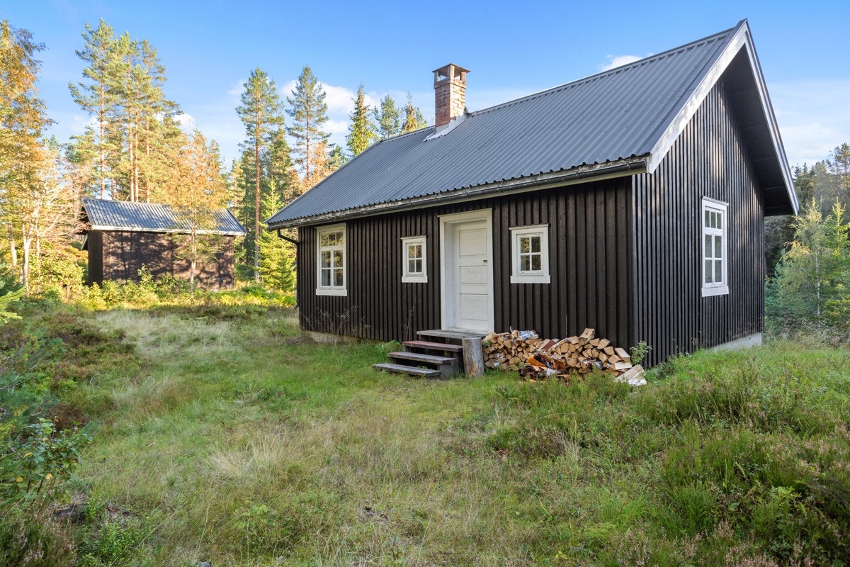 Tun med hytte Galleribilde