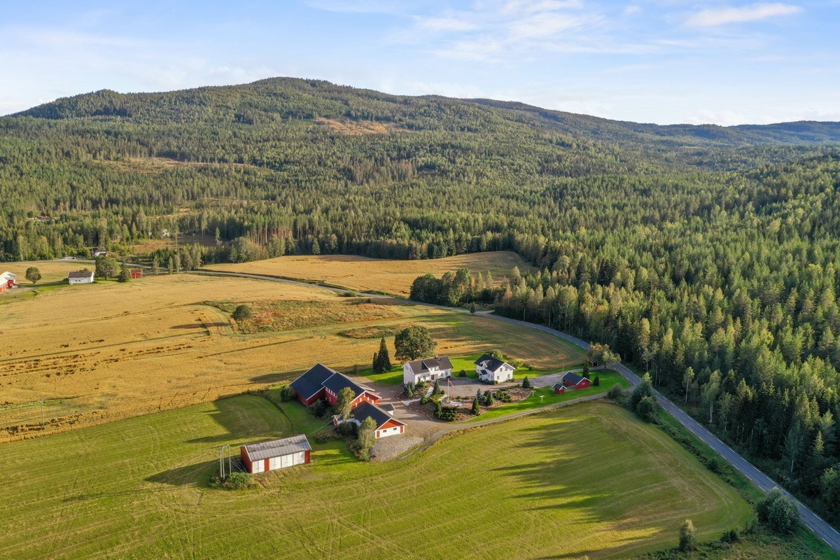Tomten rundt boligene er opparbeidet med gressplen, beplantninger og prydbusker. Galleribilde