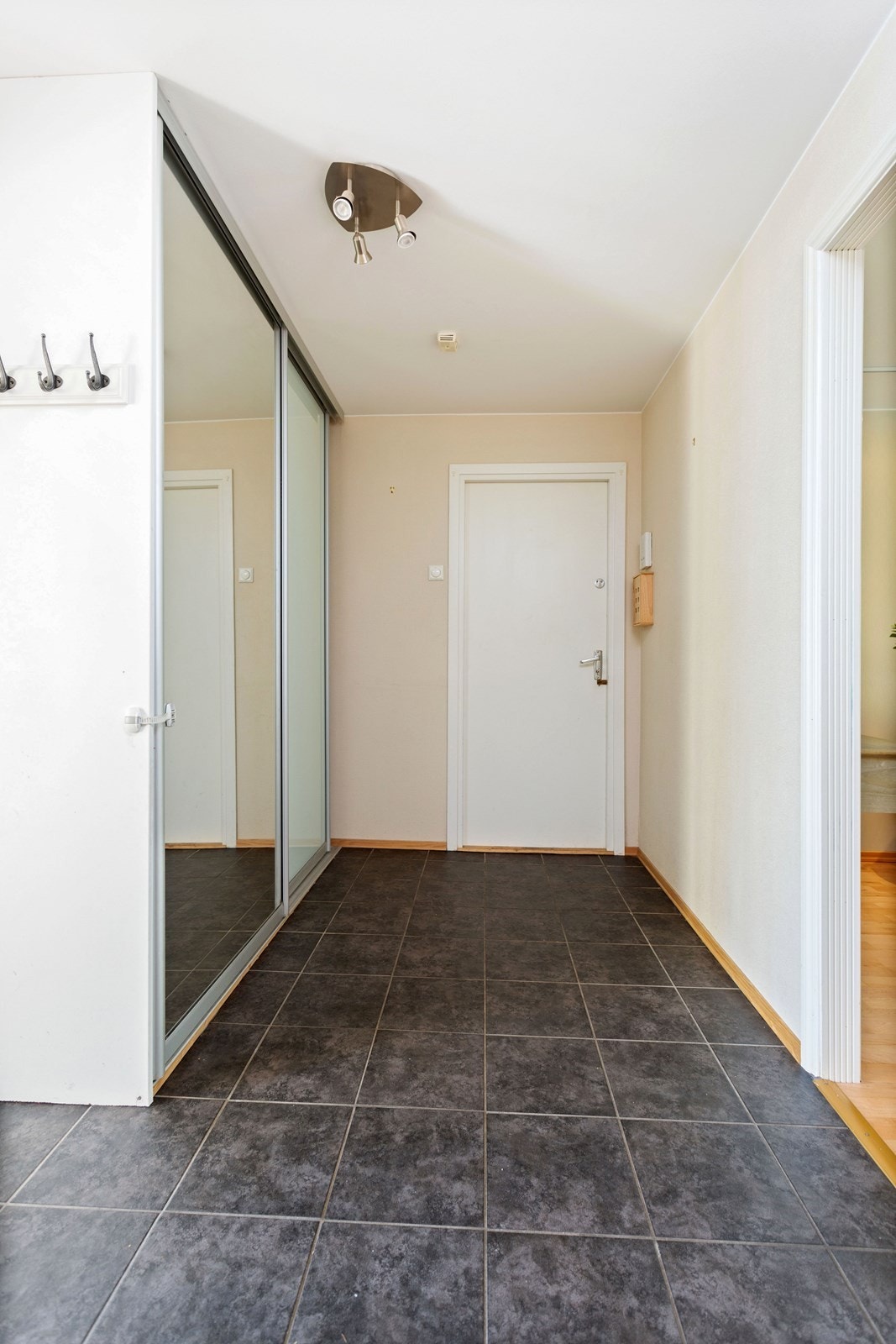 Boligens entré er flisbelagt og har varmekabler i gulv. Her er det rikelig med oppbevaringsplass i en speilbelagt skyvedørsgarderobe. Ytterligere oppbevaring er mulig i kjellerbod. Galleribilde