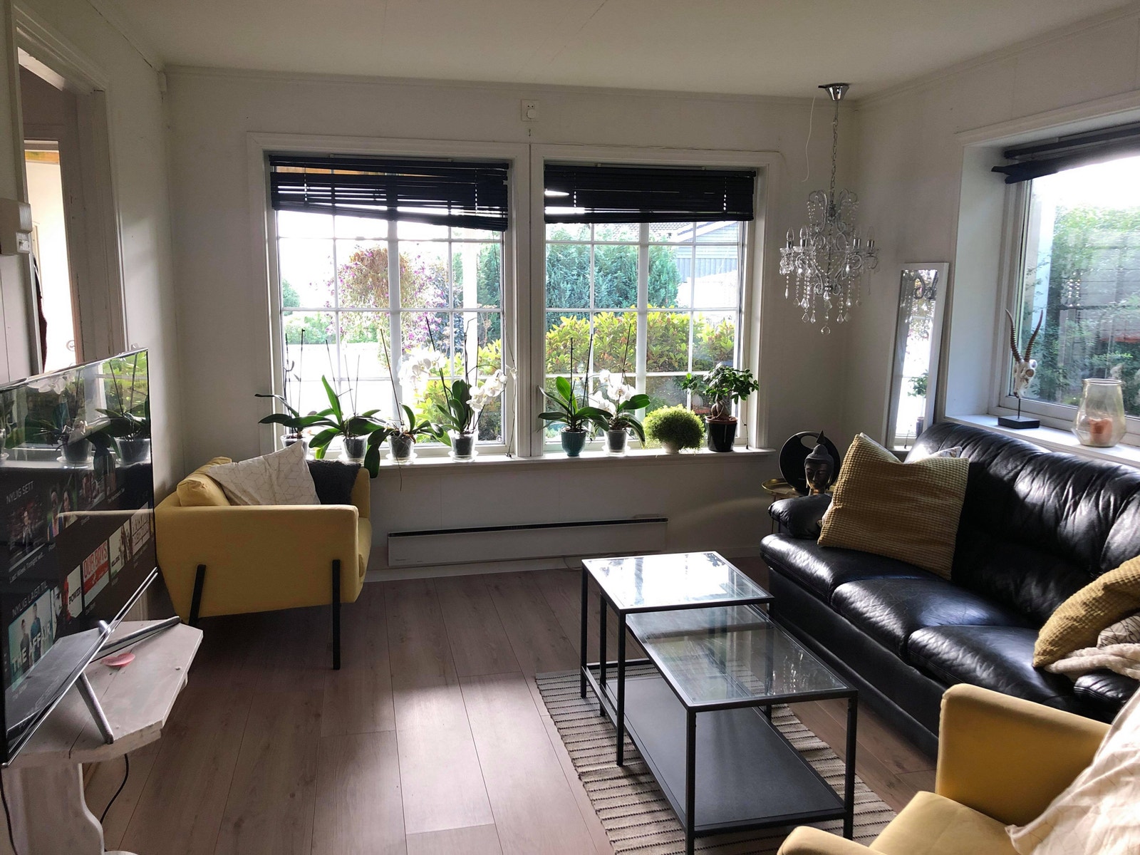 Stue mot hage Galleribilde