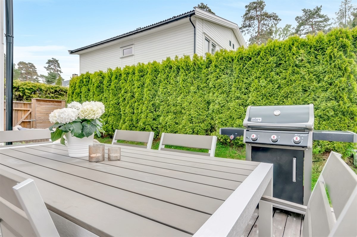 God skjerming i hagen. Galleribilde