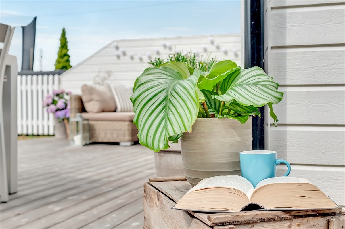 På terrassen kan solen nytes stort sett hele dagen. Galleribilde