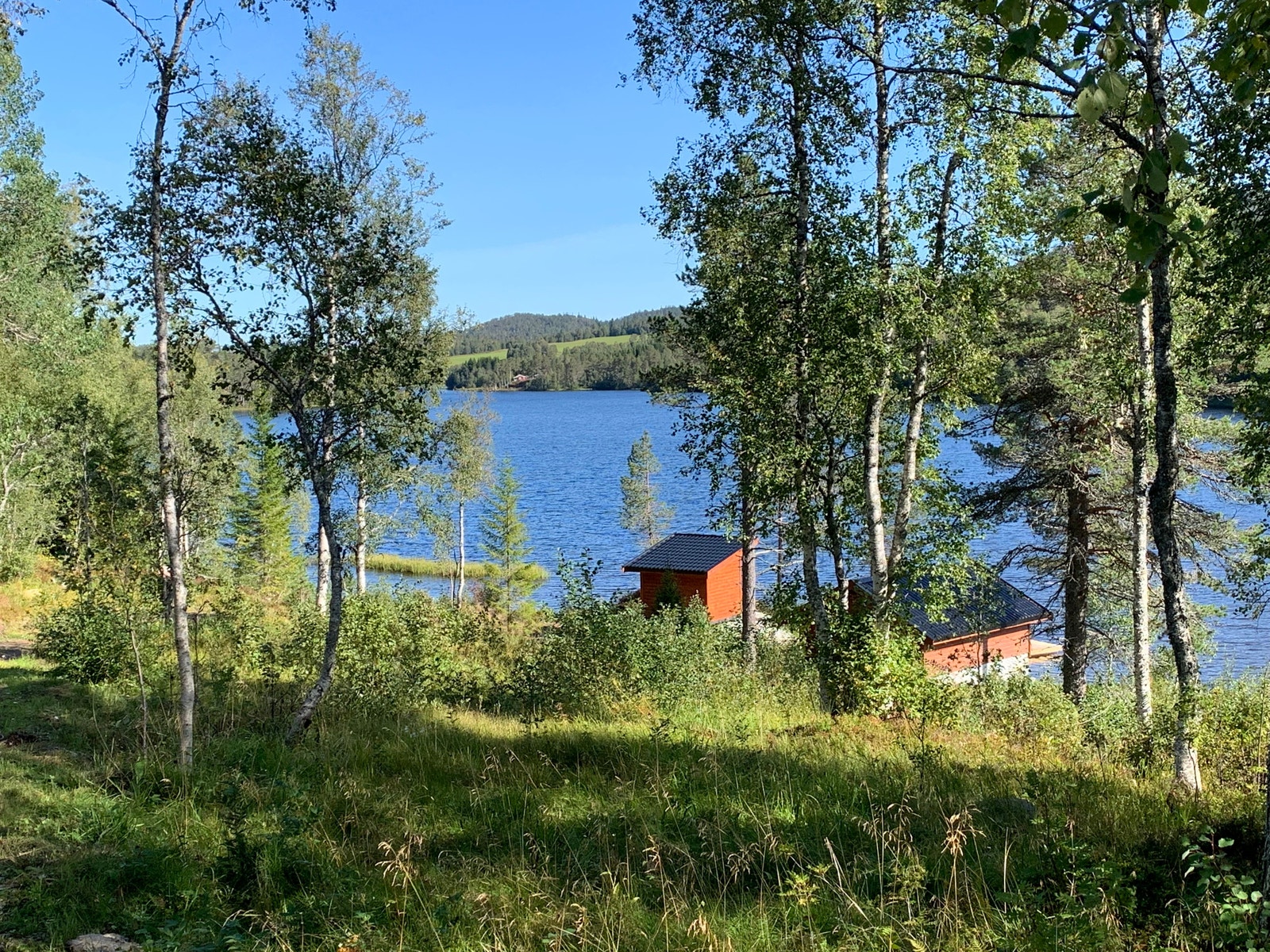 Felles gapahuk Galleribilde