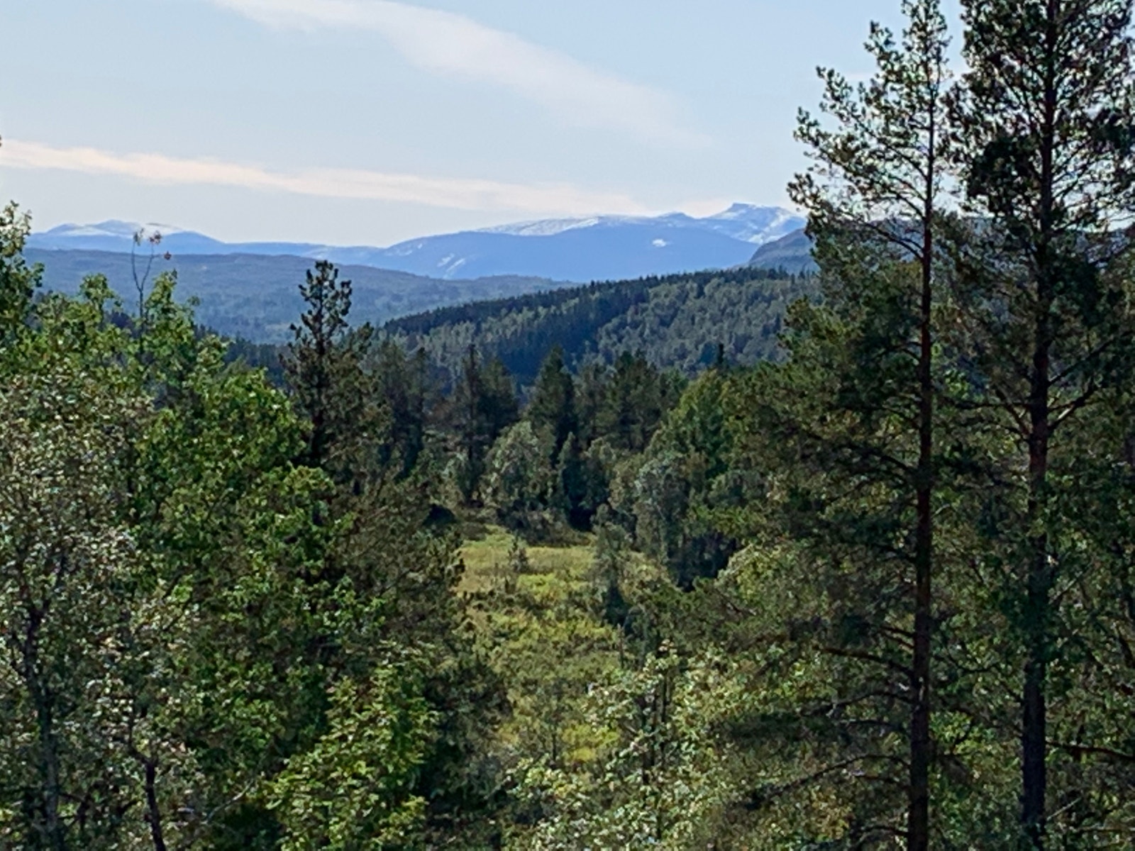 Fjell mot vest Galleribilde